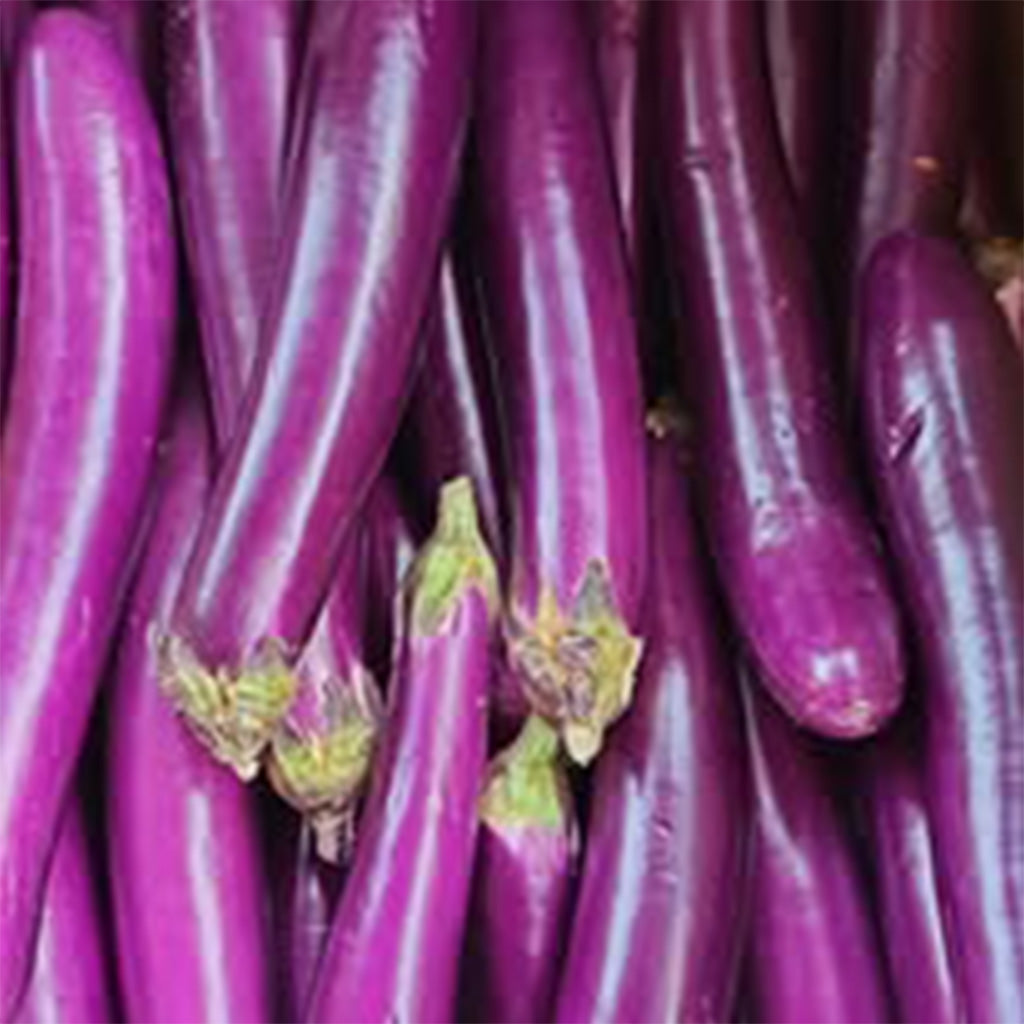 Chinese Eggplant