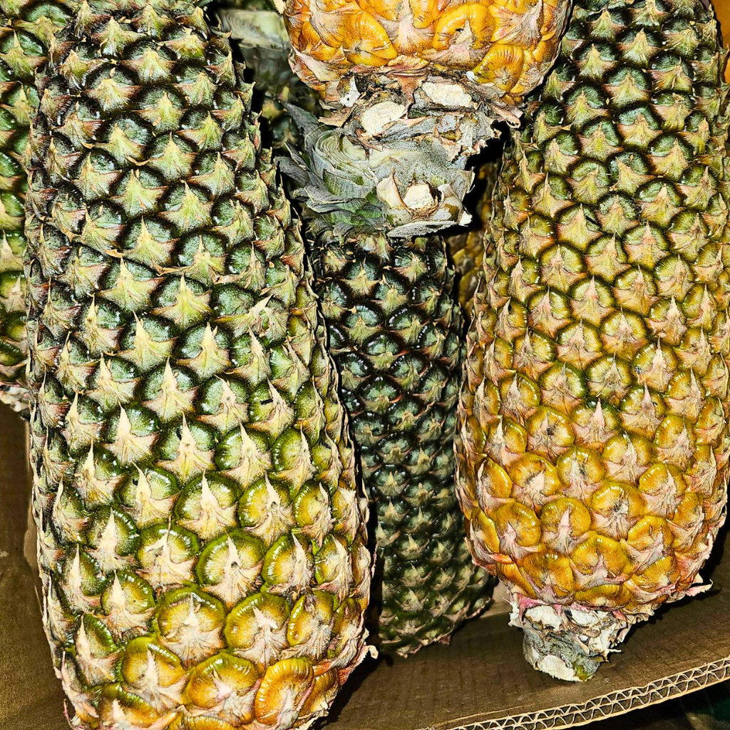 Guyanese Pineapple