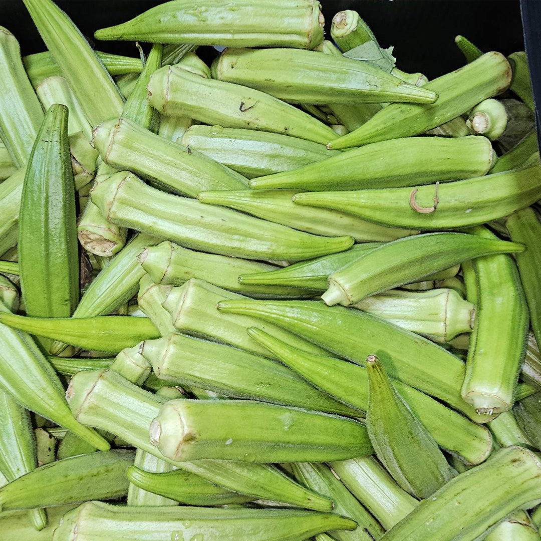 Okra