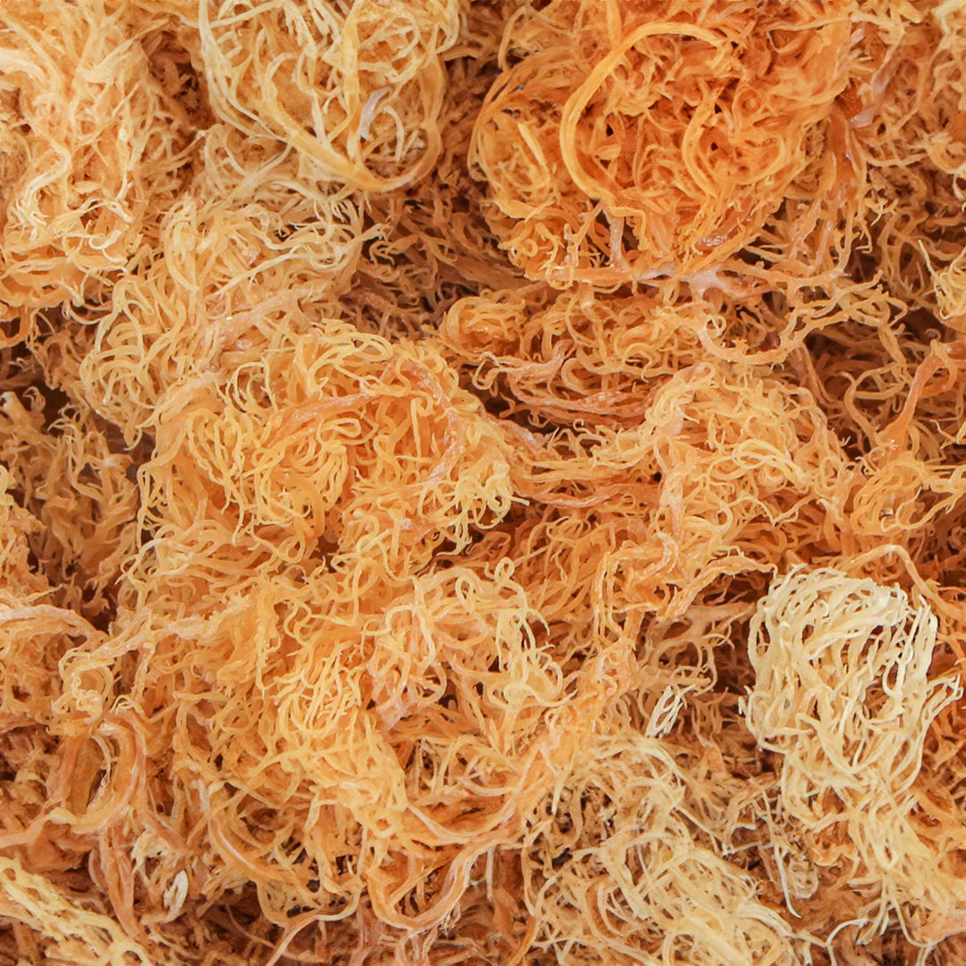 Sea Moss (Raw)