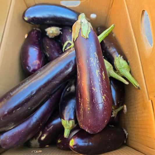 Trini Eggplant