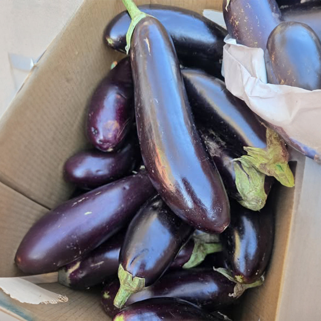 Trini Eggplant