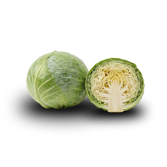 Cabbage