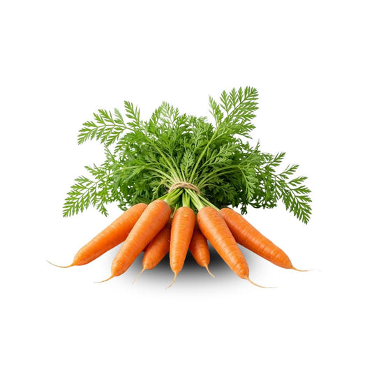 Carrot