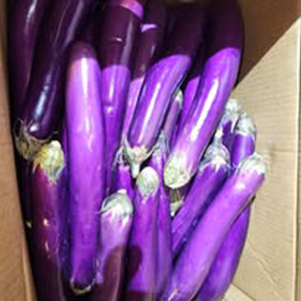 Chinese Eggplant