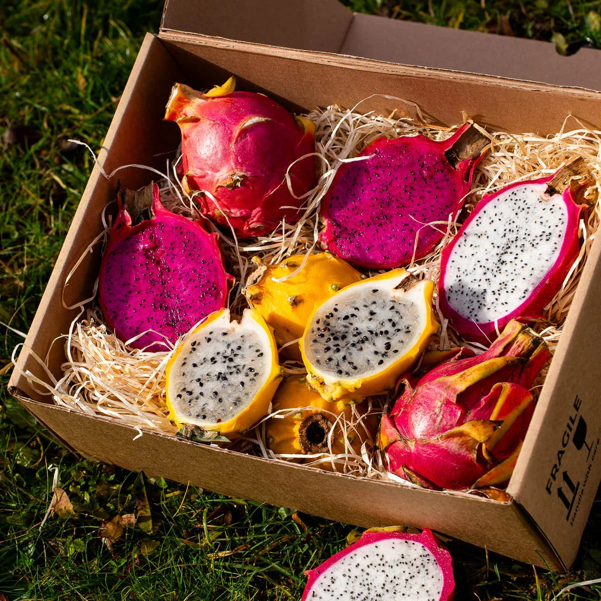 Dragon Fruit