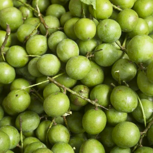 Guinep