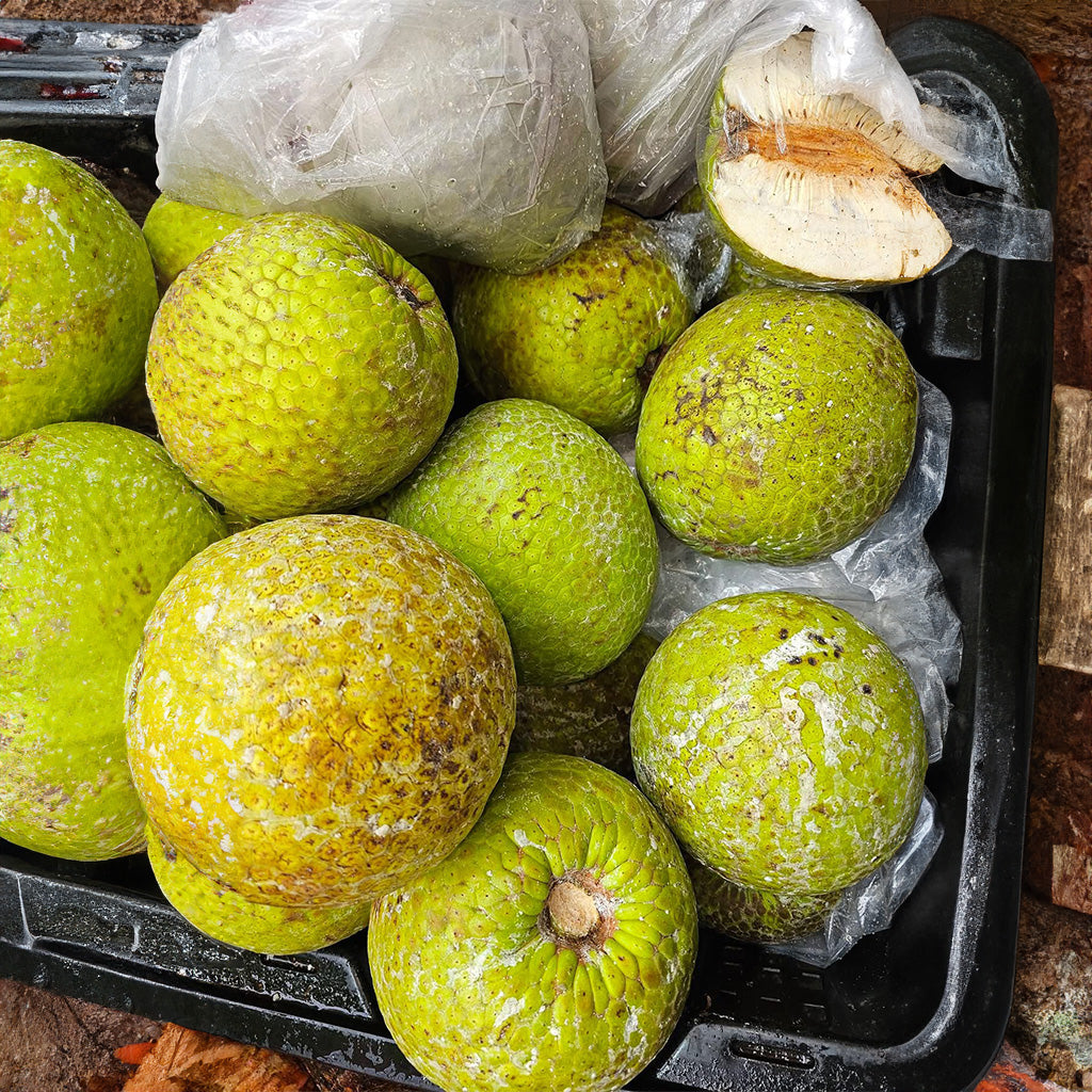 Breadfruit