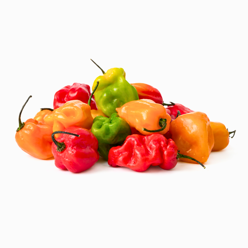 Jamaican Scotch Bonnet