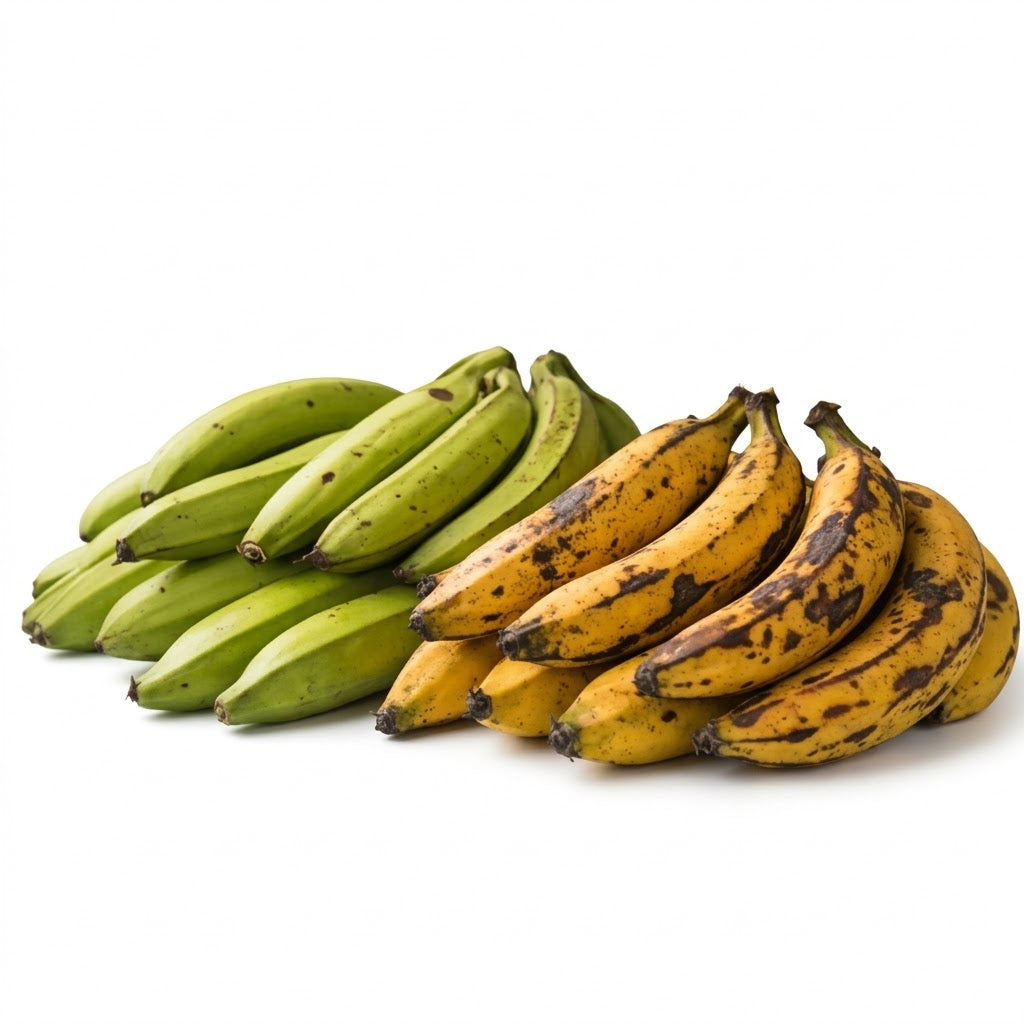 Plantain