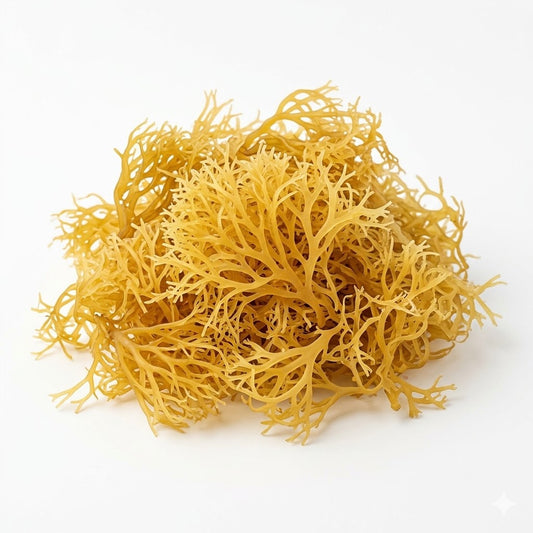 Sea Moss (Raw)