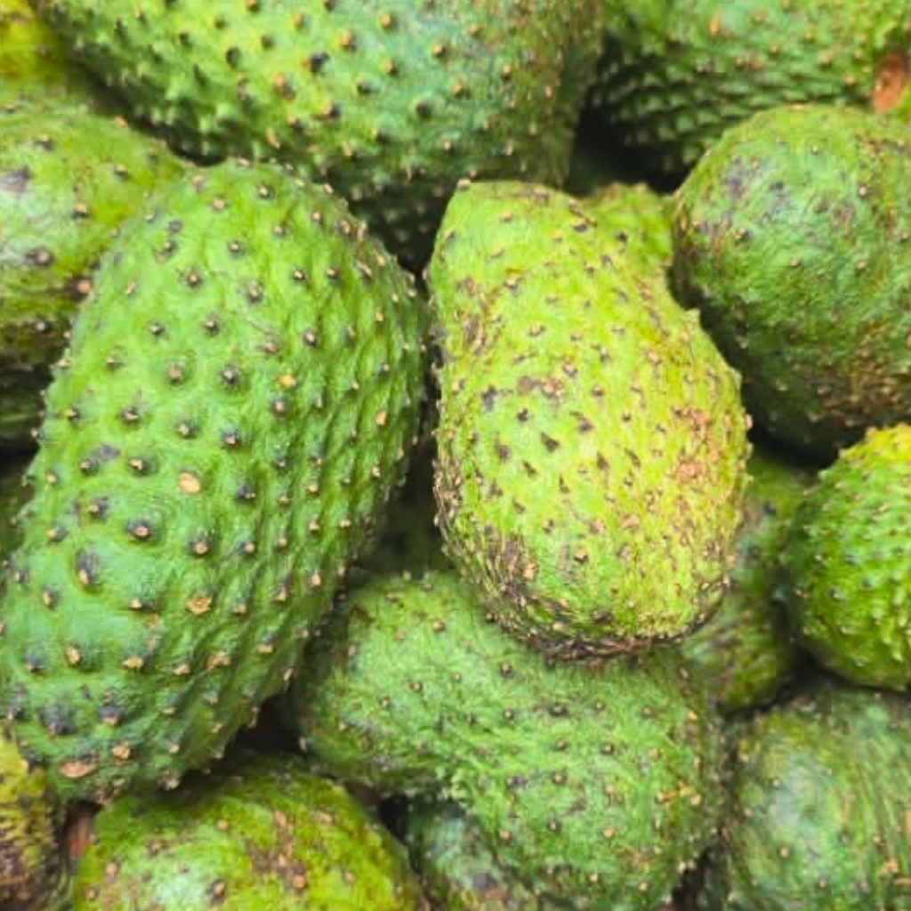 Soursop