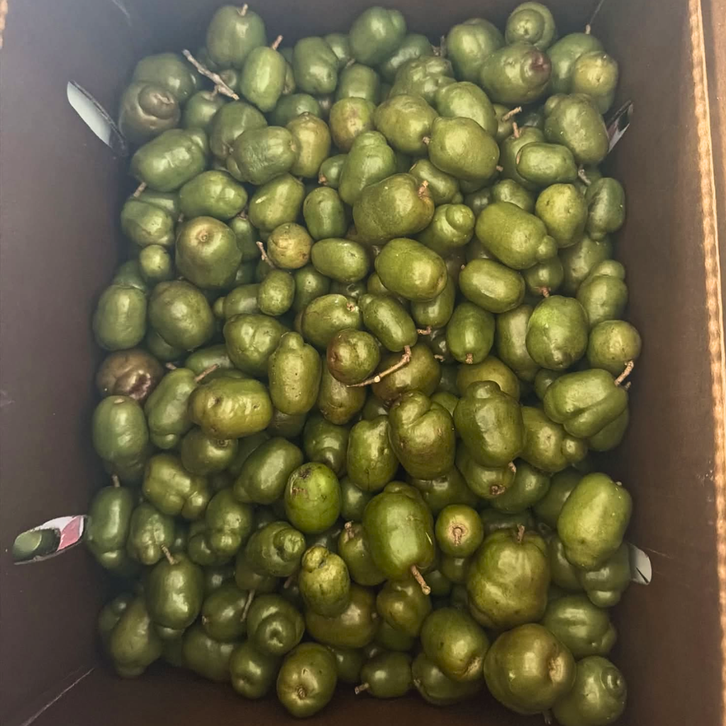 Governor Plums