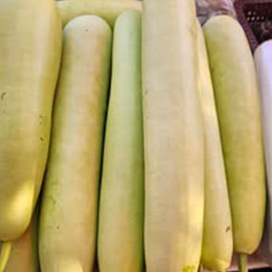 Indian Squash