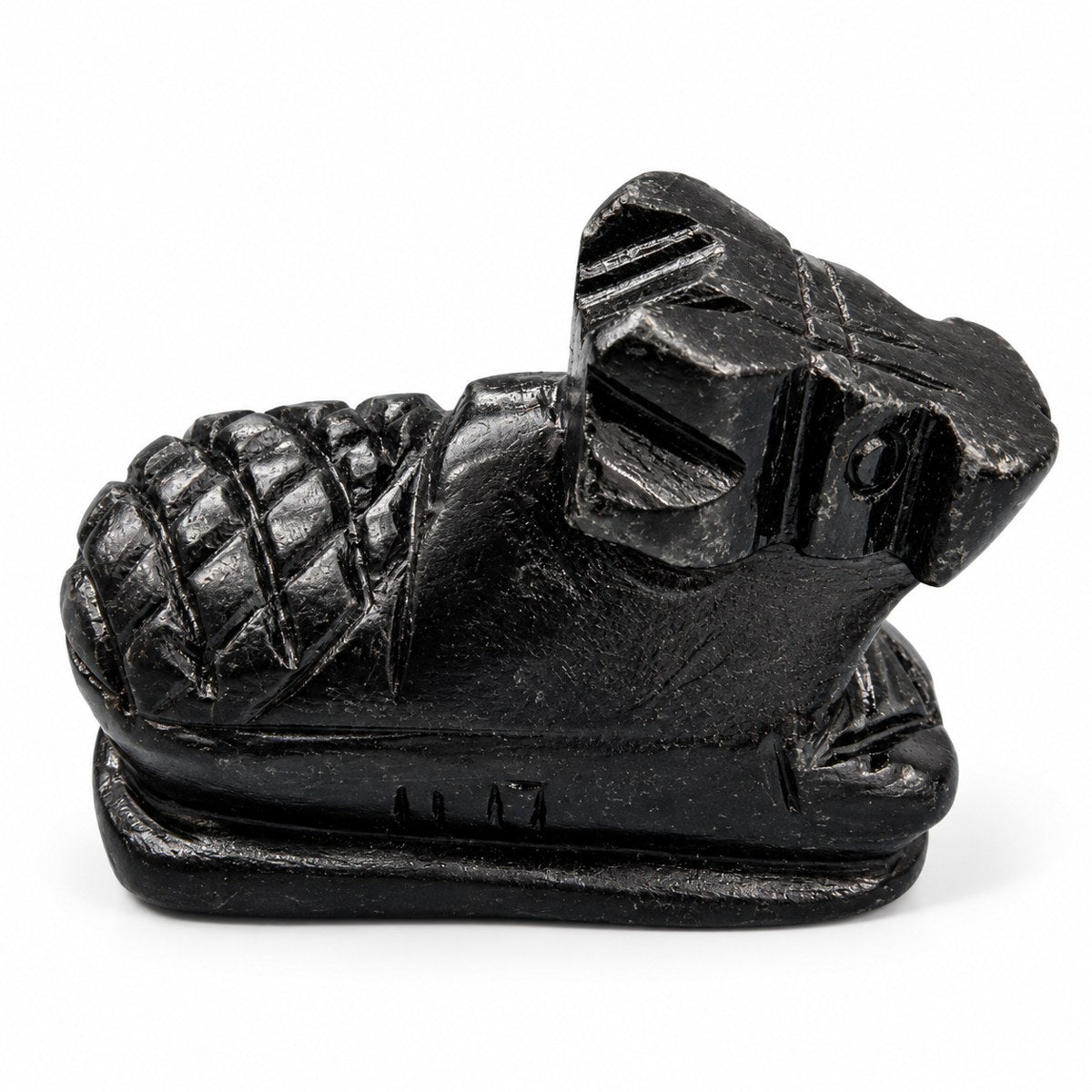 Small Black Nandi Cow variant