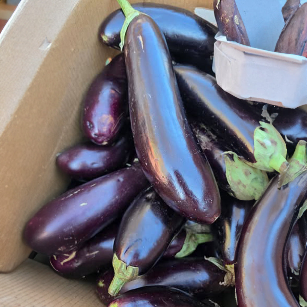 Trini Eggplant